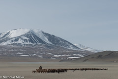 Mongolia - Bayan-Olgii