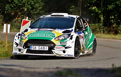 Ford Fiesta R5 Chassis 167 (active)