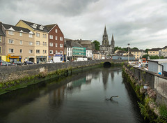 2017 Cork