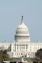 U.S. Capitol (D)