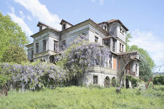 The Wisteria Villa (Under Renovation)