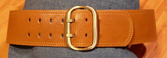 Belts with two or more prongs