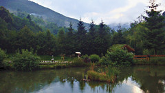 Iara Valley, Romania