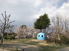 Sakura 2019, Asukano @Nara,Apr2019