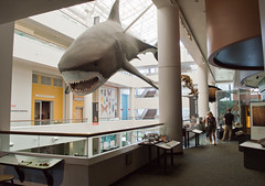 Natural History Museum, Balboa Park, San Diego 2019