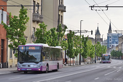 Public transportation in Cluj-Napoca
