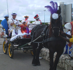 Curacao Horse Carnaval