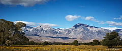 Owens Valley, CA & Thereabouts