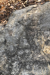 Triangle Petroglyph