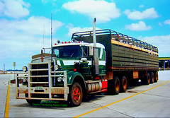 Livestock Truckphotos by Craig Johnson