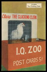 I. Q. Zoo Postcards