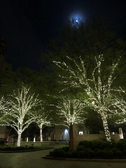 Trees with lights, moon above, forecourt of Kennedy Warren Apartments, Washington, D.C.