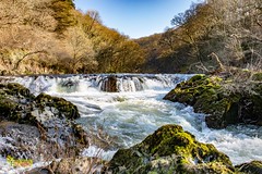 Cenarth Falls, Ceredigionshire/Carmarthenshire, West Wales. UK.