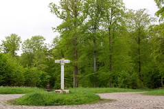 Forêt de Retz
