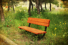 The story of a bench