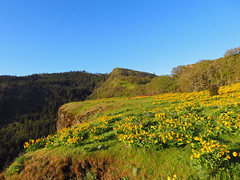 Rowena Crest in OR