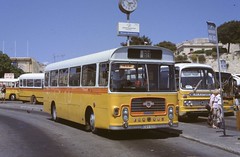 Malta & Gozo buses