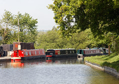 Llangollen Canal from the Narrow Boat Inn