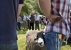 Mungrisdale Swaledale Sheep Show, Cumbria, 2019