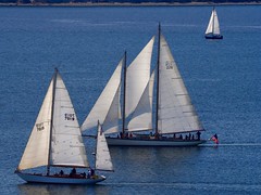 Boat parades and regattas in Port Townsend