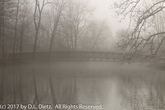 SCENICS - Fog & Mist