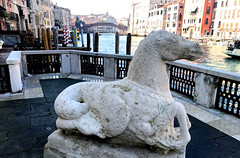 Peggy Guggenheim Collection - Venecia