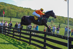 2011 Maryland Hunt Cup