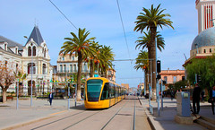 Trams in Sidi Bel Abbès
