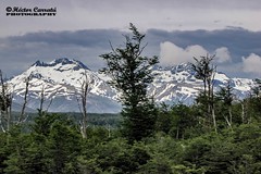 Tierra del Fuego 2012
