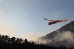 Forest Fire French Alps March 2019