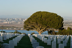 Fort Rosecrans Military Cemetery, Point Loma, San Diego 2019