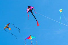 BBP Kite Festival