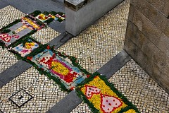 Festa da flor em Coimbra