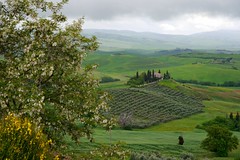 Toskana (Landschaft) / Tuscany (landscape) / Toscana (paesaggio)
