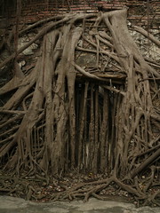 Tainan - Anping treehouse