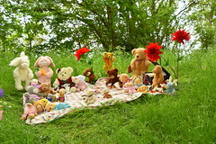 Teddy Bears - Leighton Buzzard 26 05 19