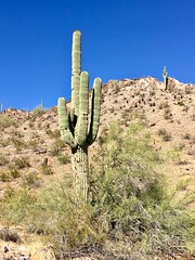 Phoenix AZ