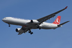 Turkish Airlines (THY) - Airbus A330-300 - TC-JNM - Samsun - John F. Kennedy International Airport (JFK) - February 19, 2019 979 RT CRP