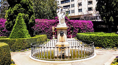 Jardín de Monforte - Valencia