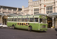 Bristol buses