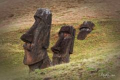 The rise and the fall of the Moai