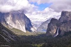Yosemite National Park  USA