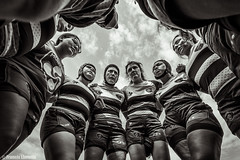 RUGBY IV