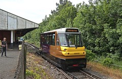 Class 139 Parry People Mover