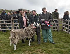 Tan Hill Open Swaledale Sheep Show, 2019