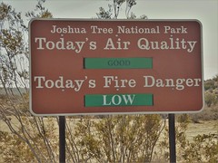 Joshua Tree National Park California Feb 2019