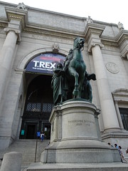 American Museum Of Natural History 2019 - New York City