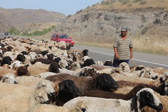 Rural Armenia