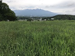 Fujimi-2 @Nagano,May2019