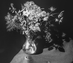 Antique Camera-Flowers
